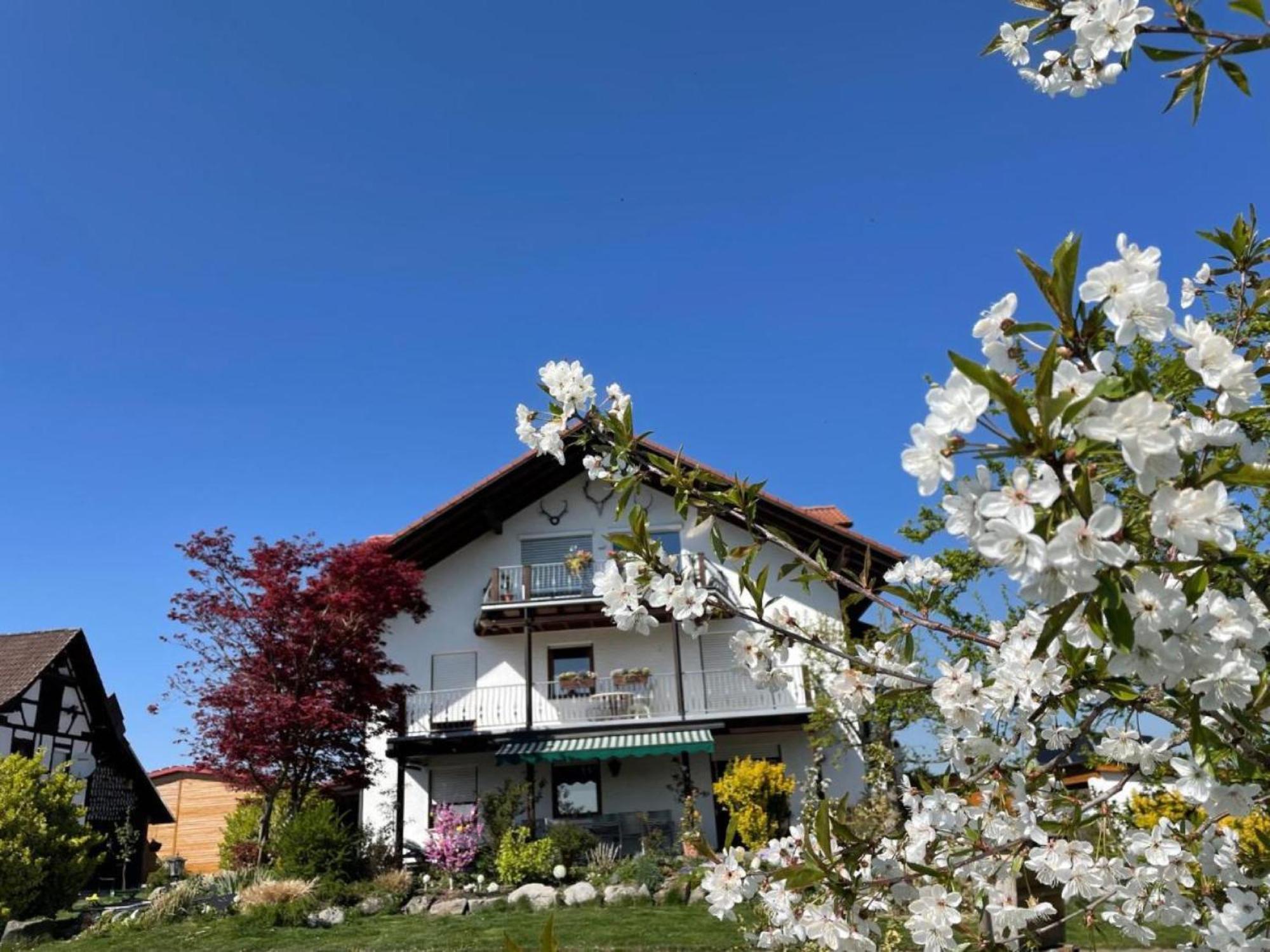 Bergchalet Mirabell - Hofgut ฟรีดริชส์ฮาเฟน ภายนอก รูปภาพ