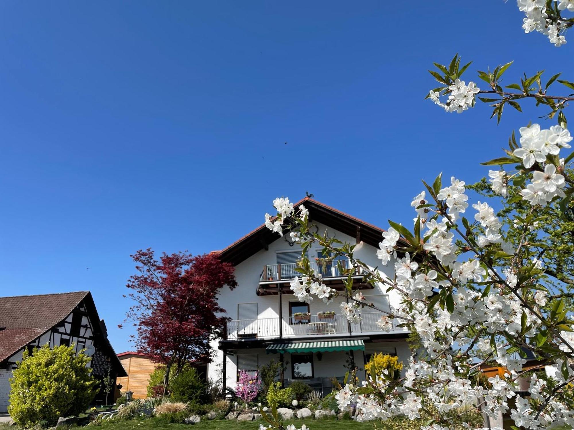 Bergchalet Mirabell - Hofgut ฟรีดริชส์ฮาเฟน ภายนอก รูปภาพ