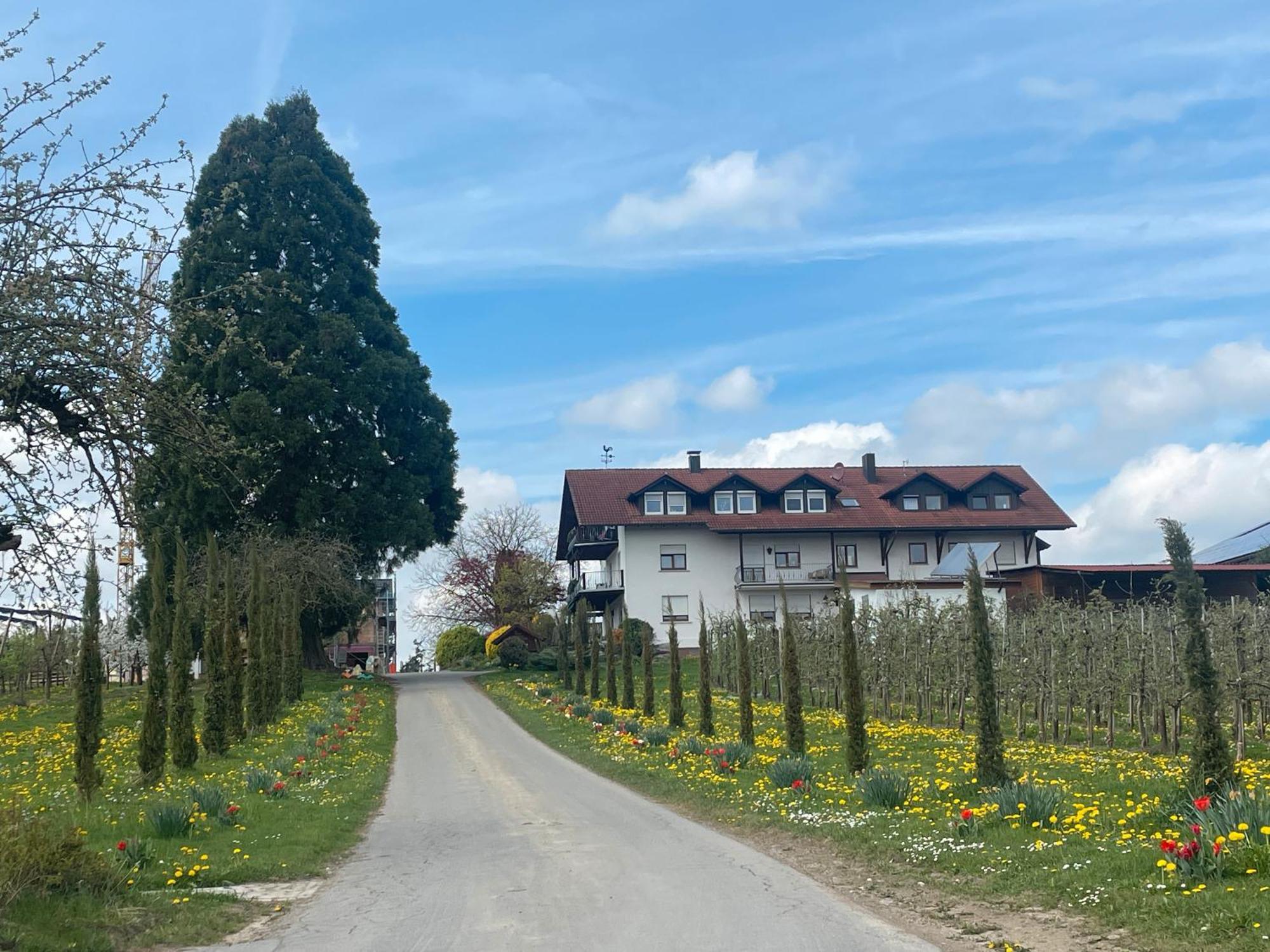 Bergchalet Mirabell - Hofgut ฟรีดริชส์ฮาเฟน ภายนอก รูปภาพ