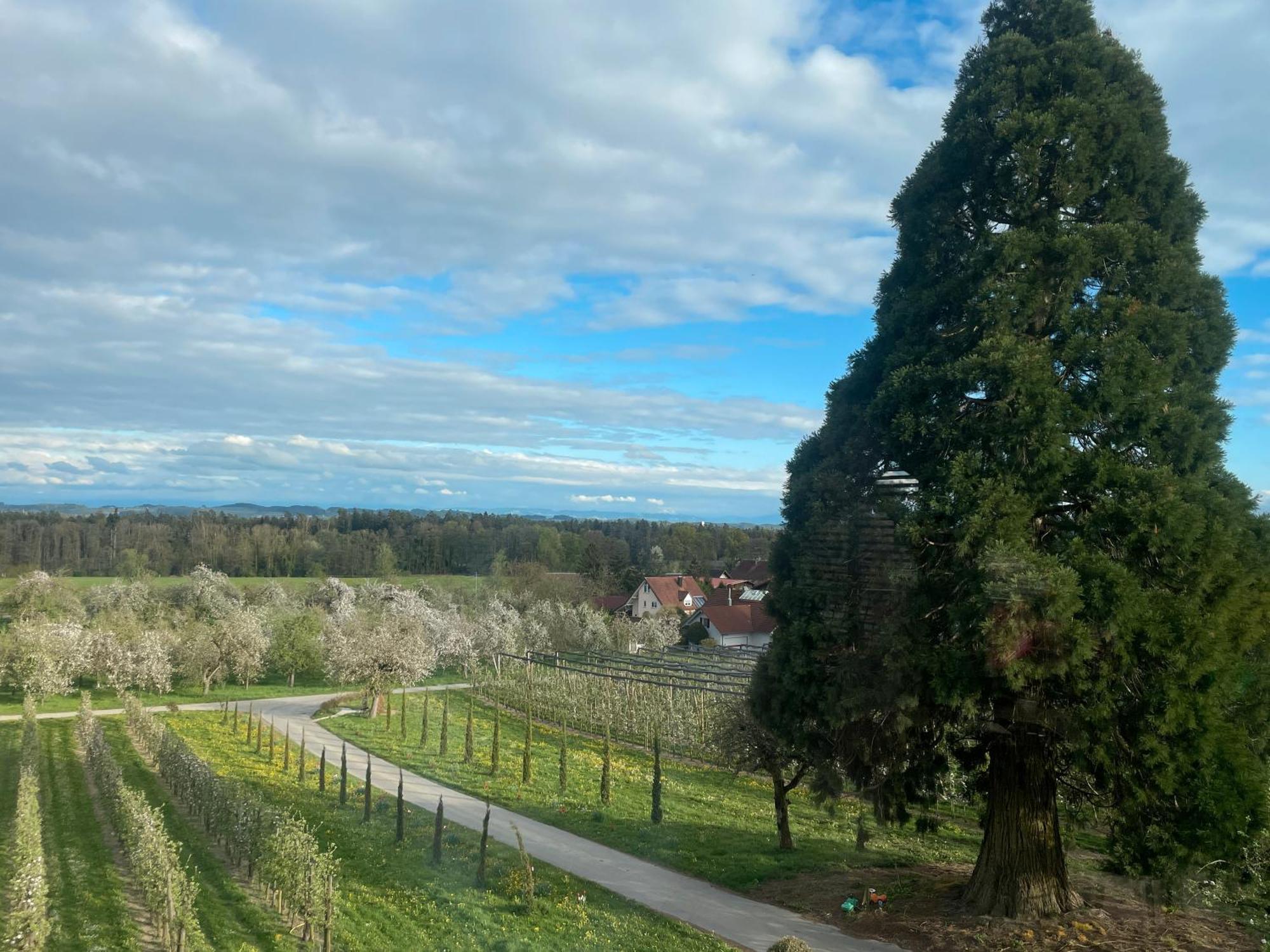 Bergchalet Mirabell - Hofgut ฟรีดริชส์ฮาเฟน ภายนอก รูปภาพ